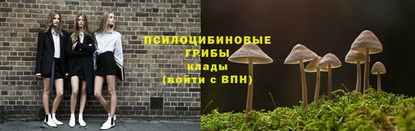 бутират Лагань