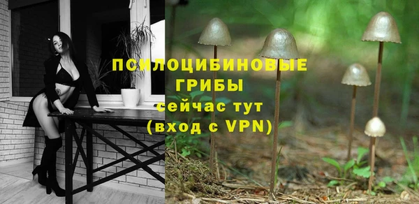 MDMA Premium VHQ Ладушкин