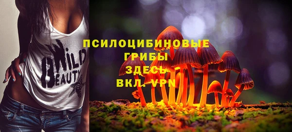 бутират Лагань