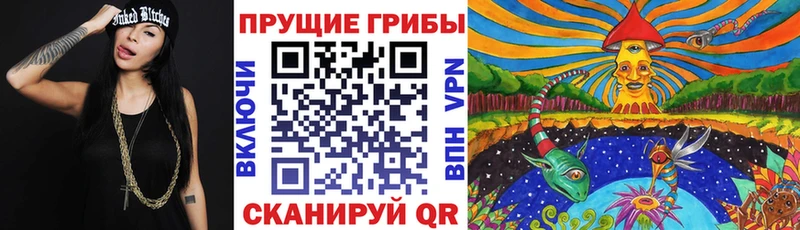 Псилоцибиновые грибы прущие грибы  дарнет шоп  Жиздра 