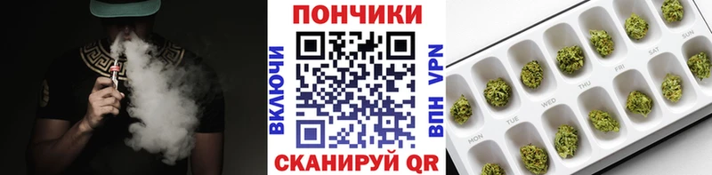 где купить наркоту  Жиздра  Конопля тримм 